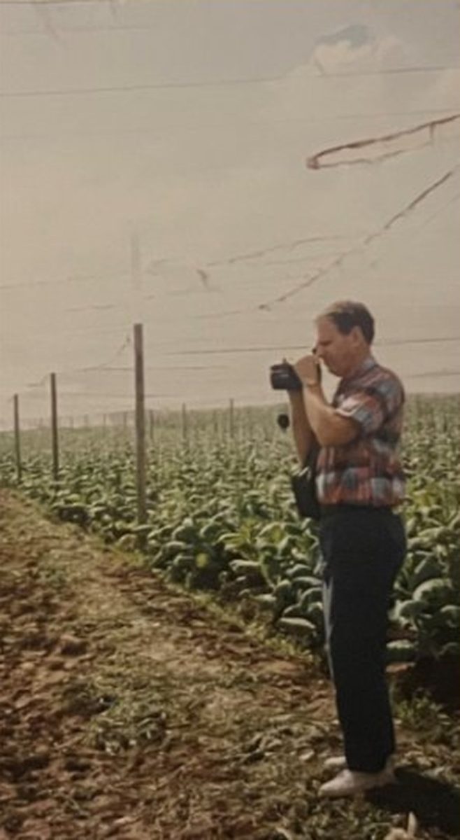 A Newman family member photographing a tobacco field
