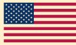 Tampa, Florida flag