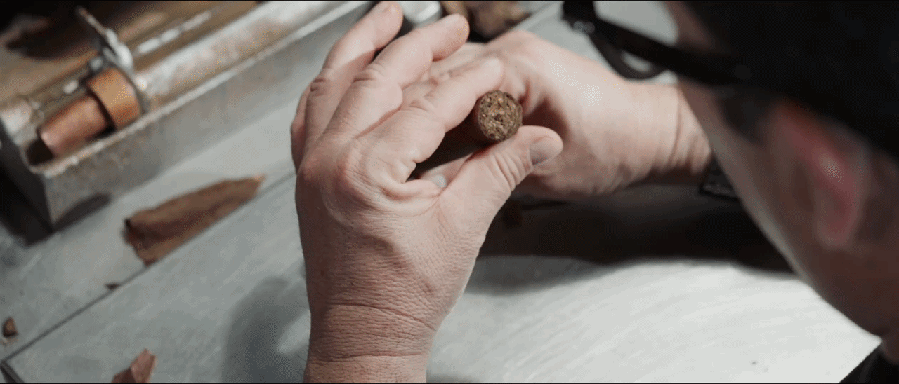 A cigar maker inspecting the foot of a freshly rolled cigar